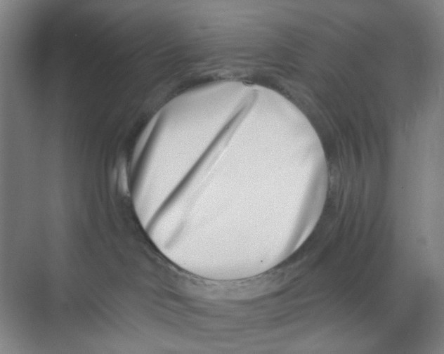 X0000074260046200609222202