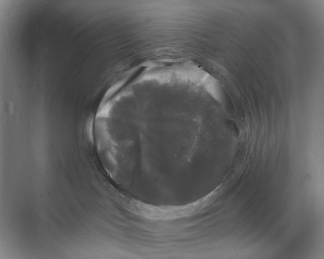 X0000074260047200609222202