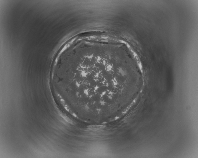 X0000074260051200609222201