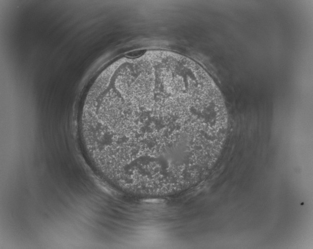 X0000074260053200609222201