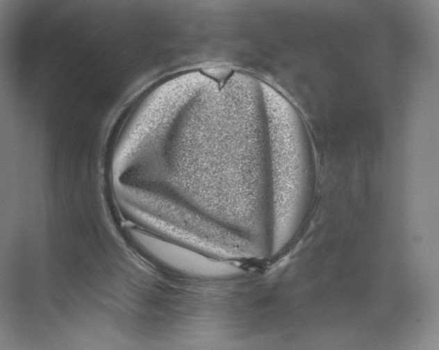 X0000074260055200609222201