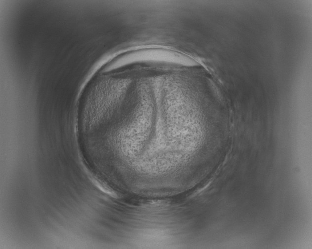 X0000074260056200609222201