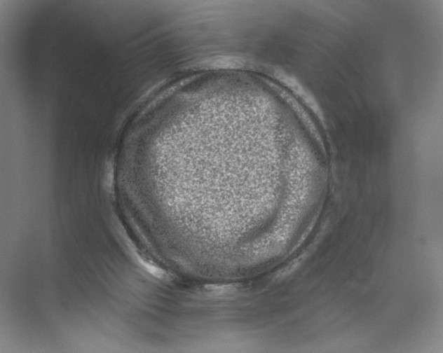 X0000074260057200609222201