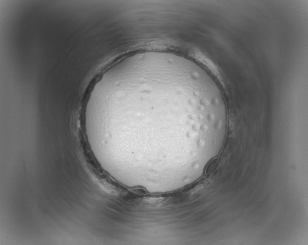 X0000074260059200609222201