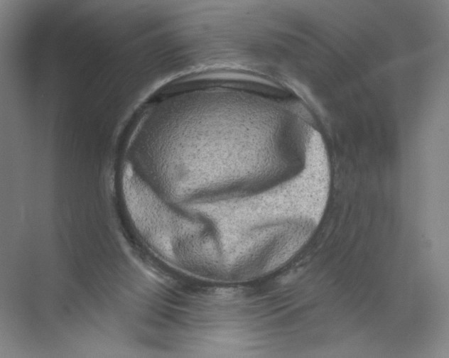 X0000074260060200609222201