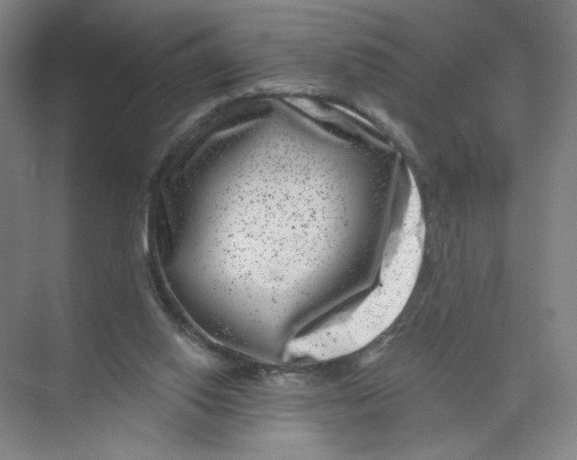 X0000074260062200609222201