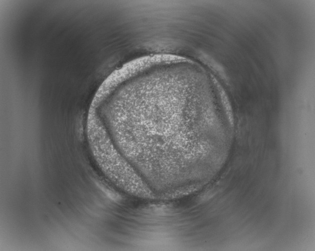 X0000074260065200609222201