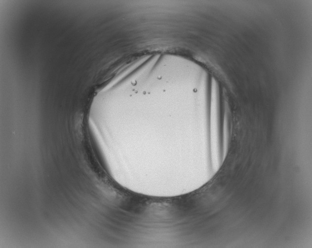 X0000074260066200609222201