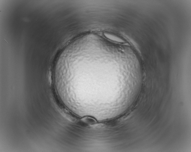 X0000074260067200609222201