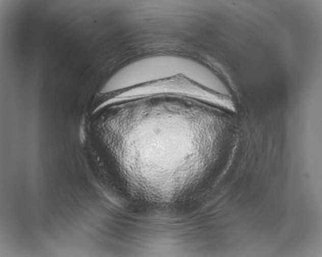 X0000074260069200609222202