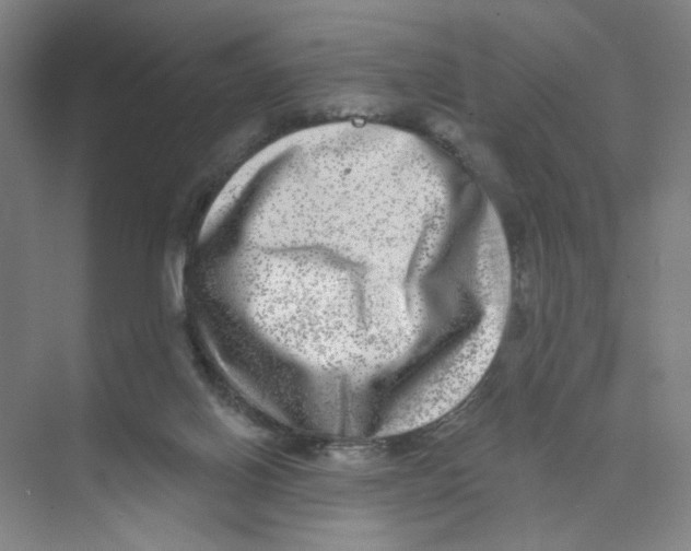 X0000074260070200609222202