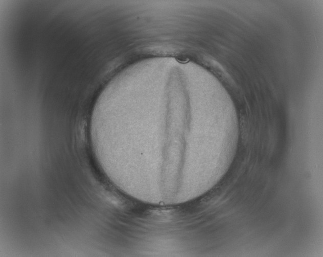 X0000074260071200609222202