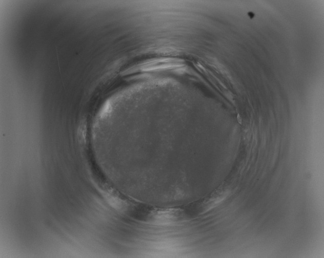 X0000074260072200609222202