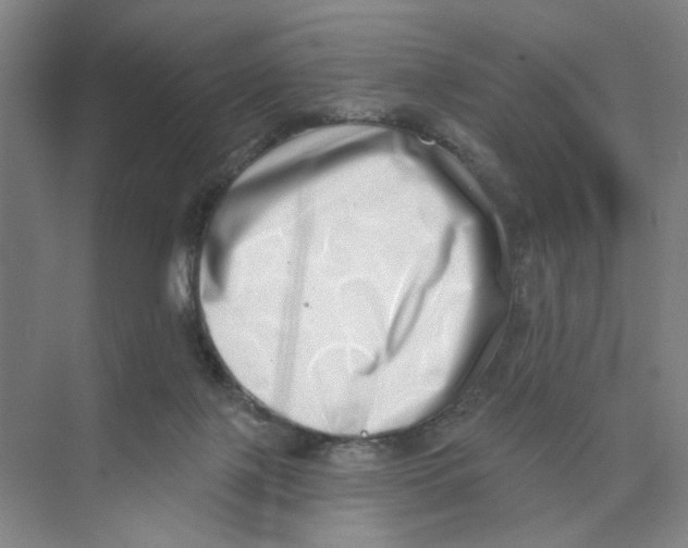 X0000074260075200609222202