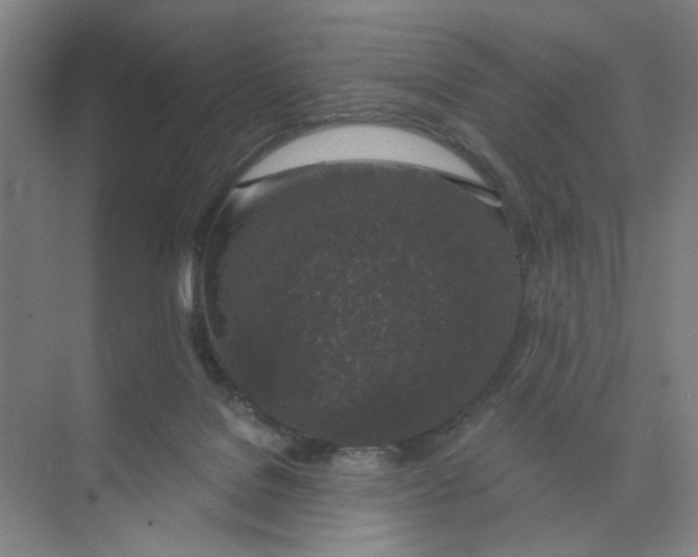 X0000074260076200609222202