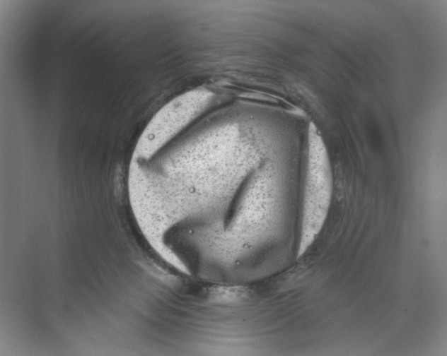 X0000074260077200609222202