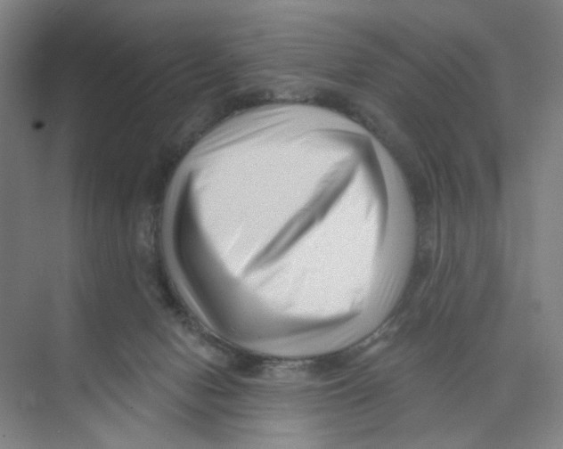 X0000074260078200609222202