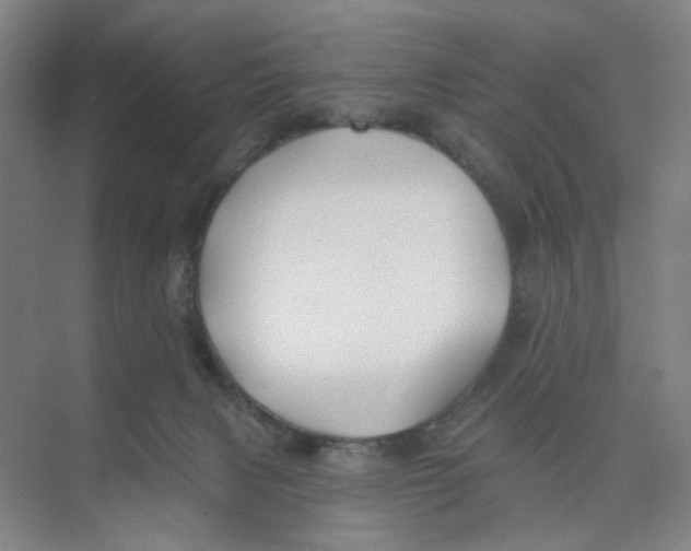 X0000074260079200609222202