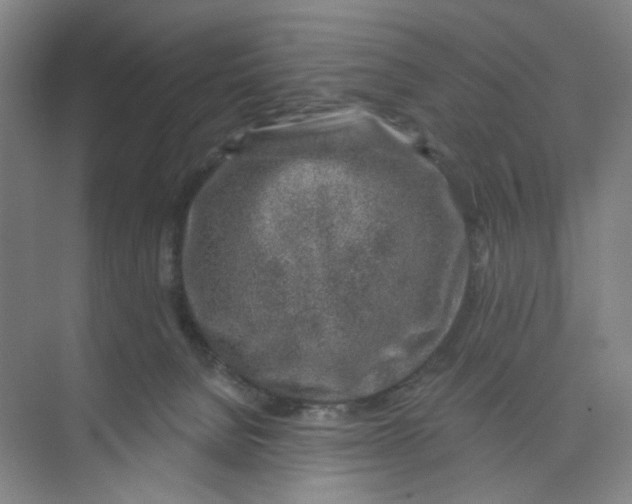 X0000074260080200609222202