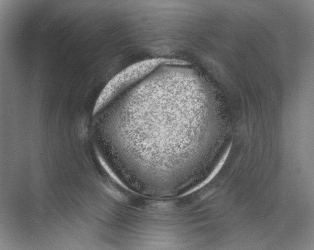 X0000074260081200609222202