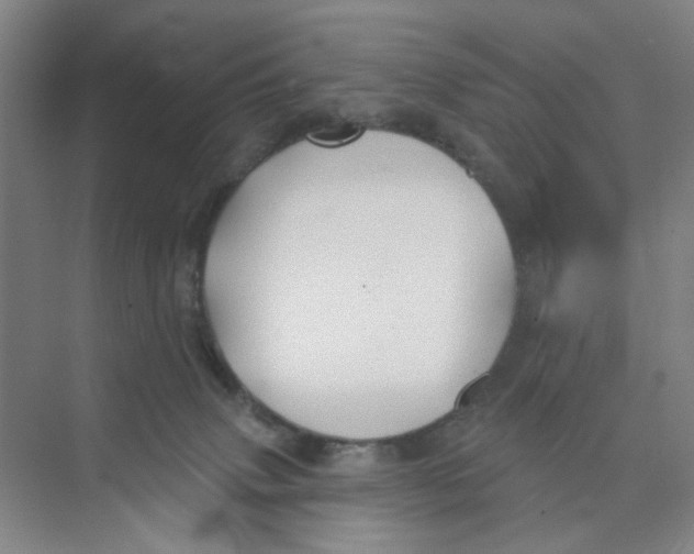 X0000074260083200609222202