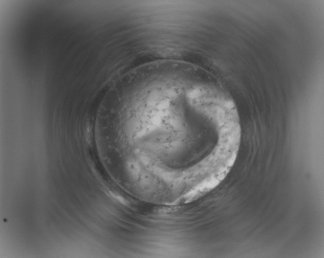 X0000074260084200609222202