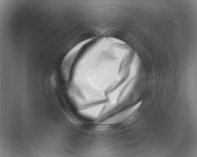 X0000074260090200609222202