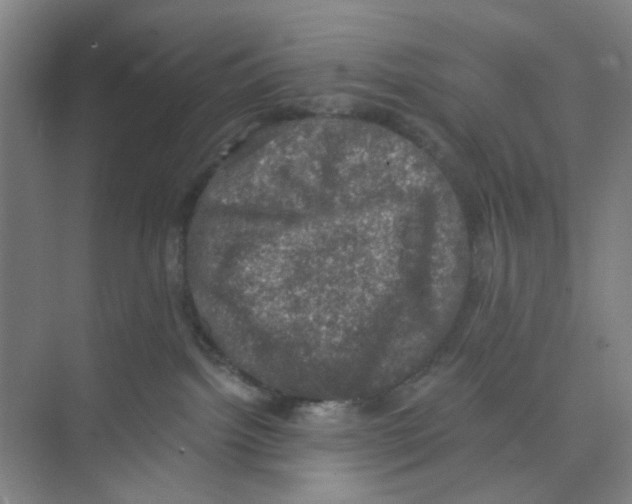 X0000074260092200609222202