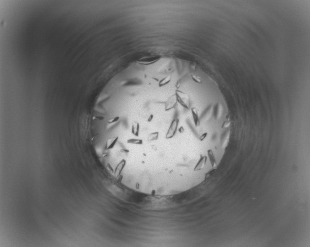 X0000074260093200609222202