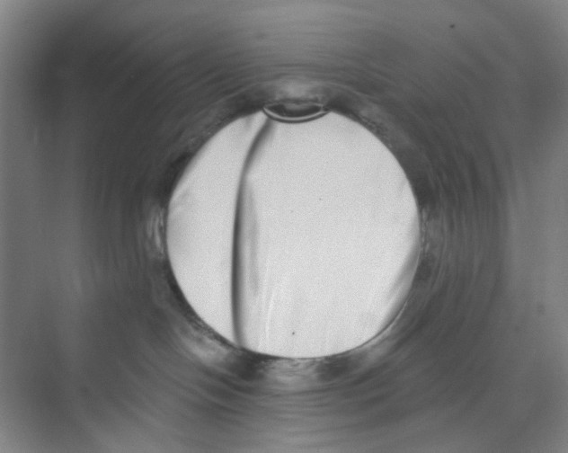 X0000074260094200609222202