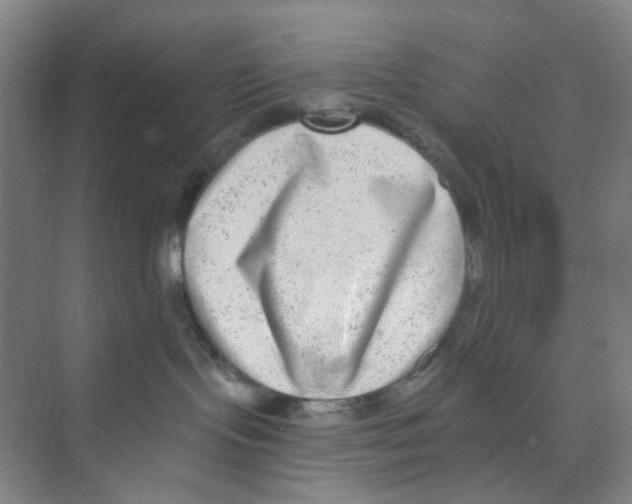 X0000074260095200609222202