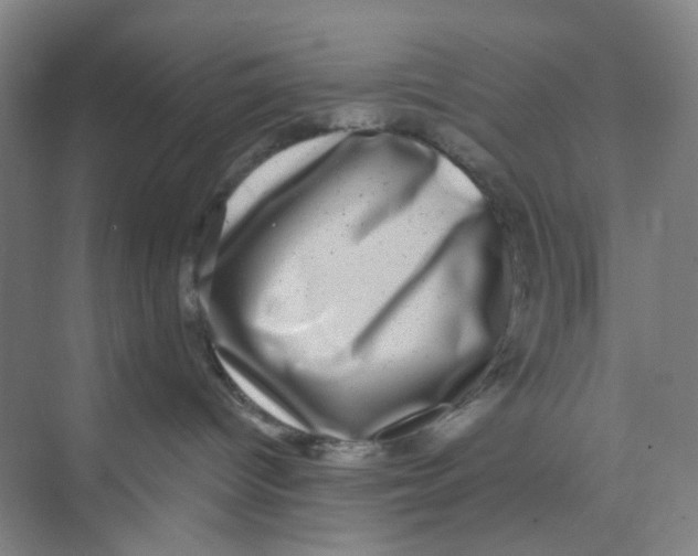 X0000074260096200609222202