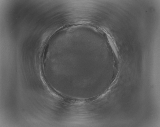 X0000074260097200609222201