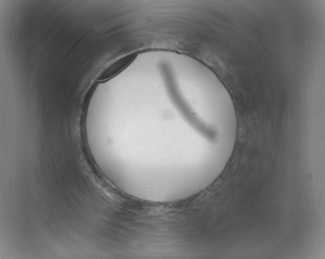 X0000074260098200609222201