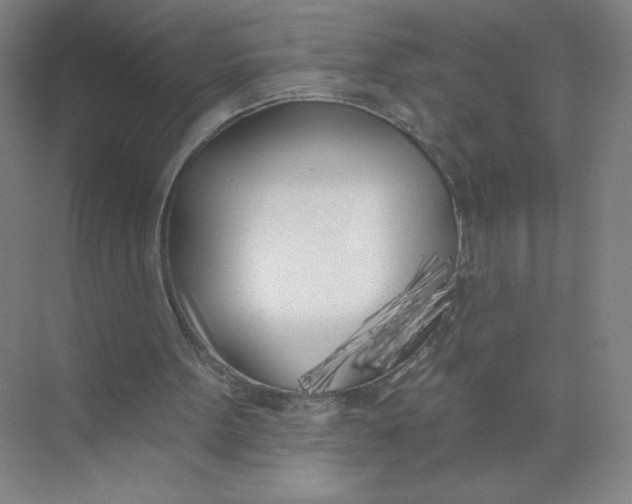 X0000074260099200609222201