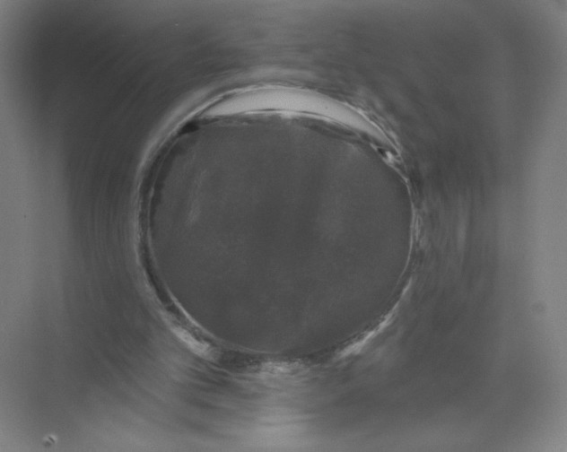 X0000074260101200609222201