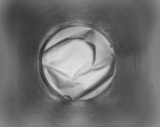 X0000074260102200609222201