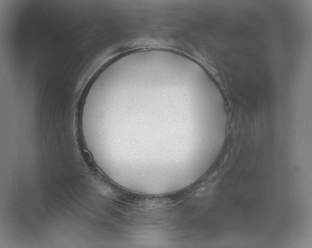 X0000074260103200609222201