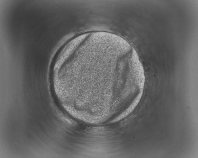 X0000074260104200609222201