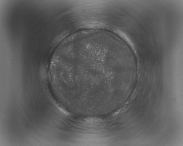 X0000074260105200609222201