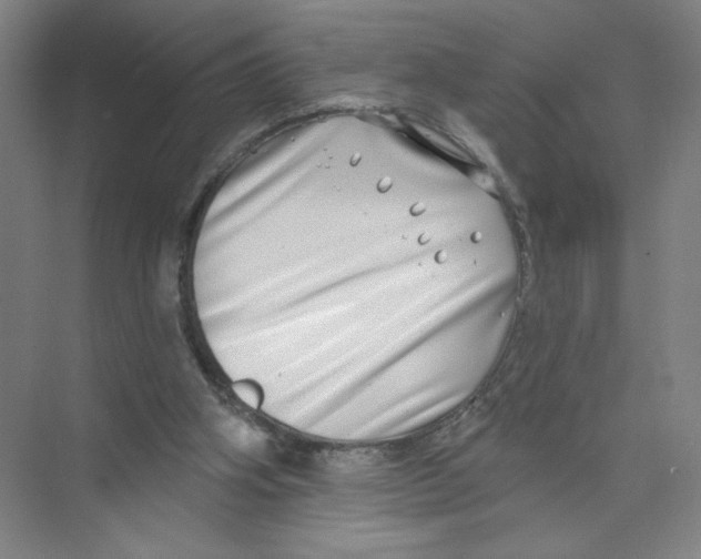 X0000074260106200609222201