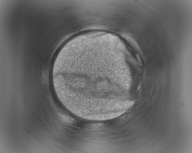 X0000074260108200609222201