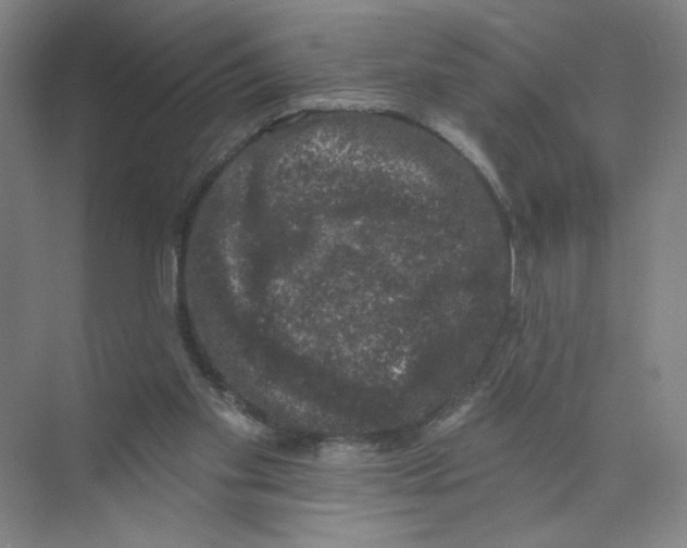 X0000074260109200609222201