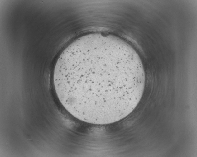 X0000074260110200609222201