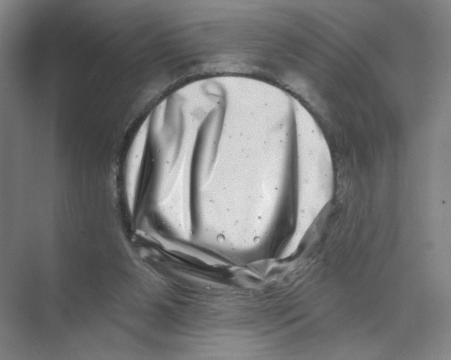 X0000074260111200609222201