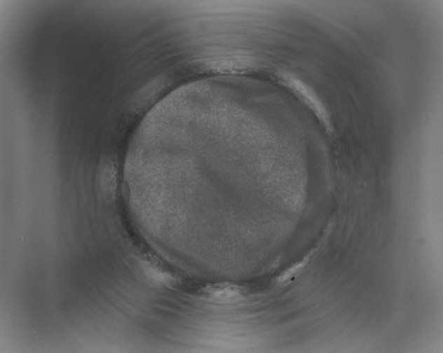 X0000074260113200609222201