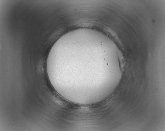 X0000074260114200609222201