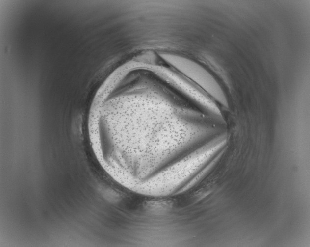 X0000074260115200609222201