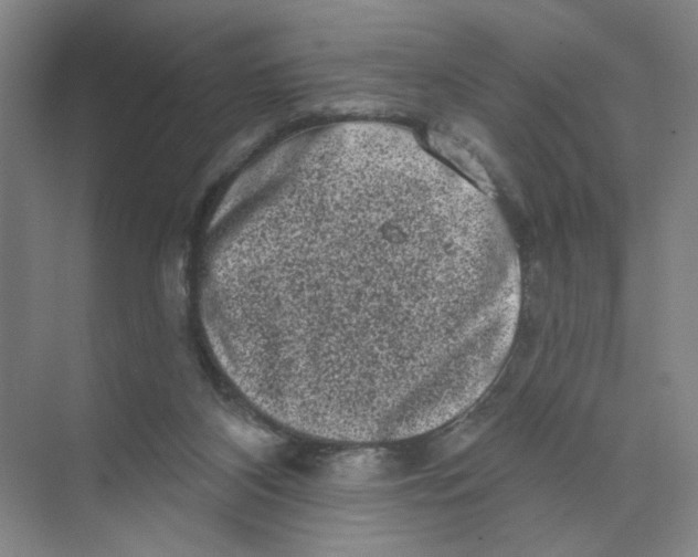 X0000074260116200609222201