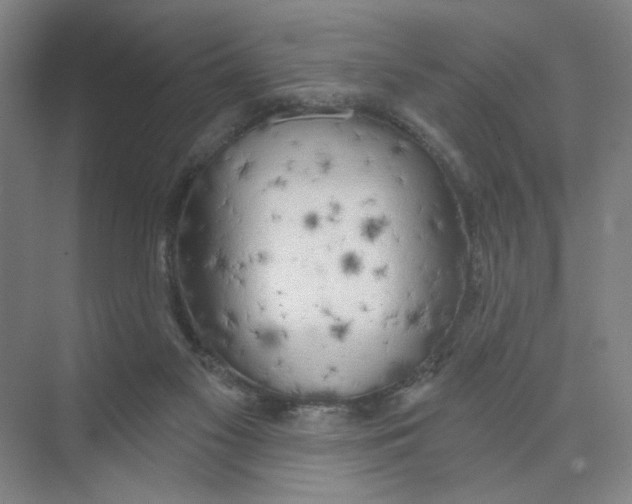 X0000074260117200609222201